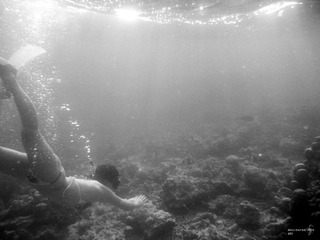 DSCF0098bw