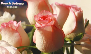 FA438BDE-AE6C-4575-82DA-940D50F22EB7/L0/001