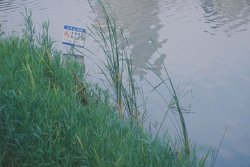 3CF659EE-1B3D-43DC-8BC2-1182CAA485C8/L0/001