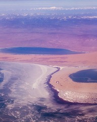 _MG_4528.jpg