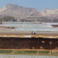 _MG_4253.jpg