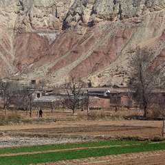 _MG_4276.jpg