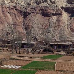 _MG_4278.jpg