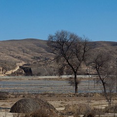 _MG_4314.jpg