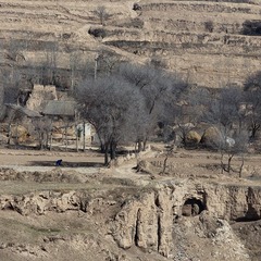 _MG_4343.jpg