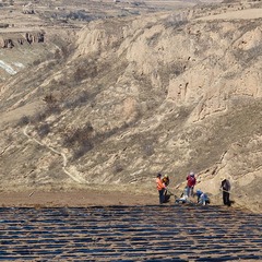 _MG_4349.jpg