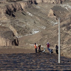_MG_4350.jpg