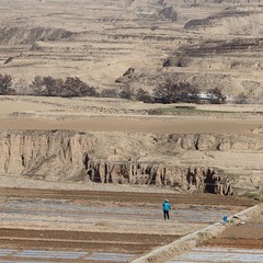 _MG_4360.jpg