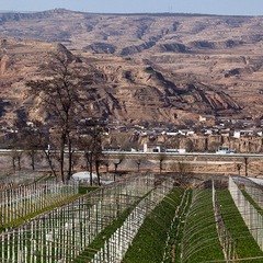 _MG_4423.jpg
