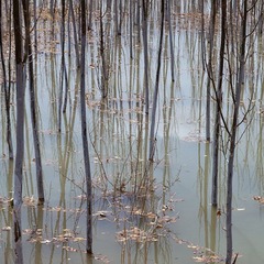_MG_4655.jpg