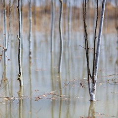_MG_4640.jpg