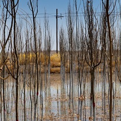 _MG_4618.jpg