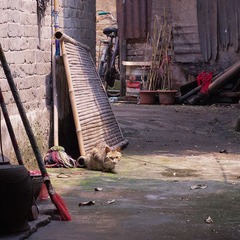 _MG_6511.jpg