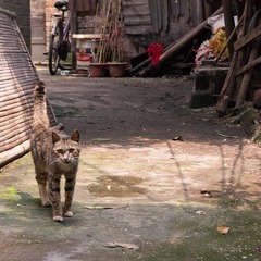 _MG_6518.jpg