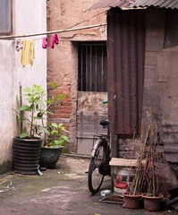 _MG_6523.jpg