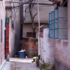 _MG_6528.jpg