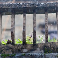 _MG_6748.jpg