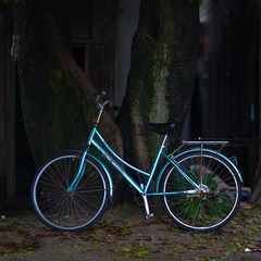 _MG_6773.jpg