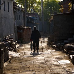 IMG_4262.jpg