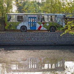 IMG_4269.jpg