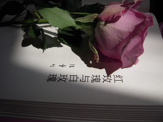 1000031214