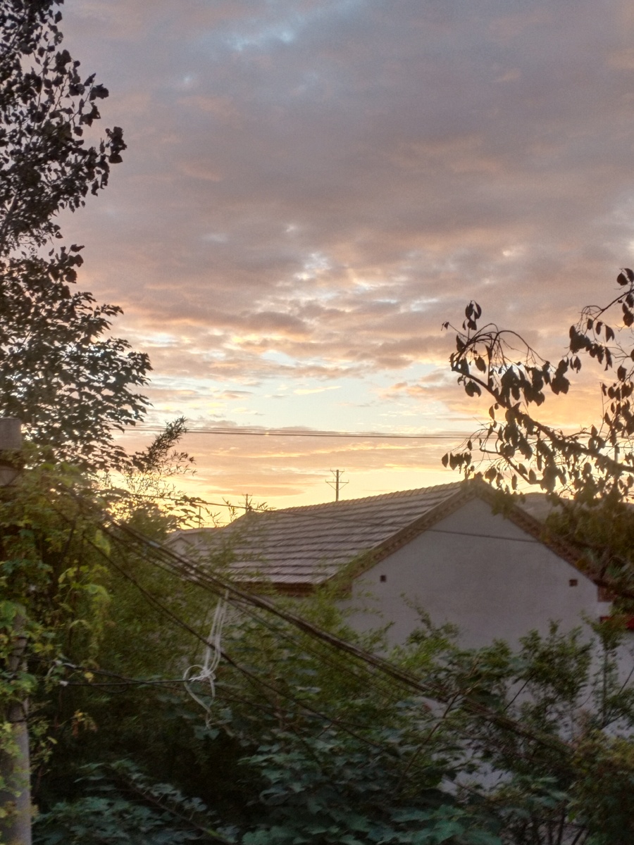 初秋蒙胧的农村黎明