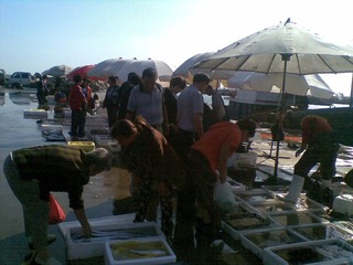 20120916(022).jpg