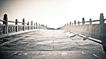 IMG_0917_1.jpg