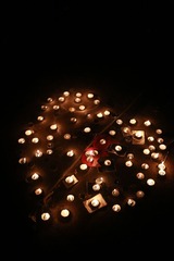 IMG_7385.JPG