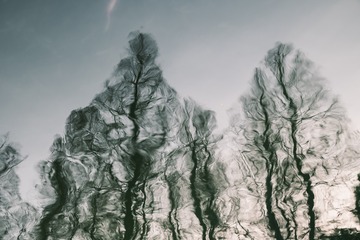 1000016674