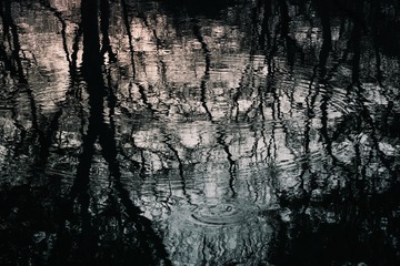 1000016684