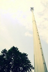 IMG_2871.JPG