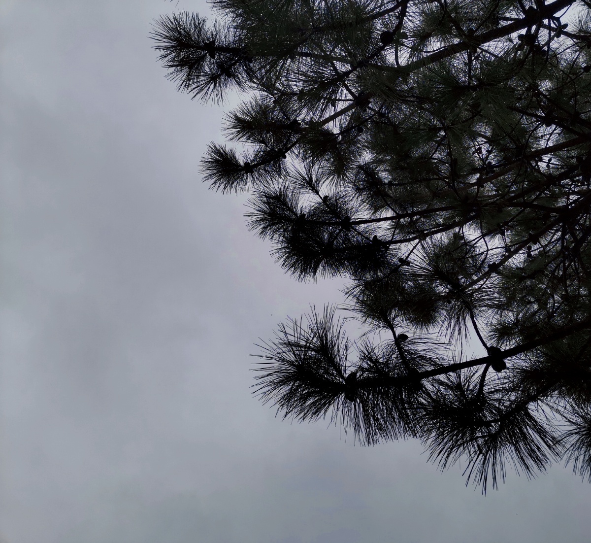 阴雨蒙蒙的一天