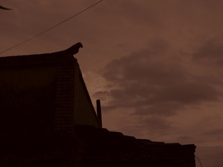 584AA2C5-DAFD-4E16-AA9A-4DF5A543825B/L0/001