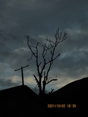 73C90178-64AE-4F9B-9BA2-7FC69A185FB8/L0/001