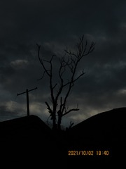 E39121AD-CE2D-4B7F-8ACD-890BB4CB55EB/L0/001