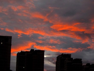 3AD6B45E-9636-4BBB-9454-C0AD857E0745/L0/001