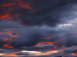 A0616D35-41CB-4AA3-9A8E-E20079941172/L0/001