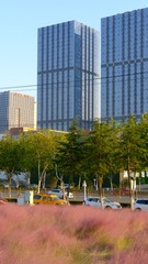 A243A94E-2AC2-4021-9606-8C2B0C68F023/L0/001