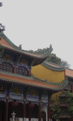 636D1CA9-BD5E-48C0-AC64-9889731D72E3/L0/001
