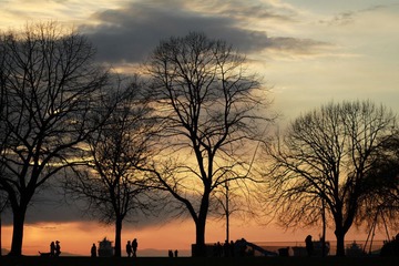stanley park 012.JPG