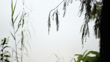 FACD746F-539D-44EC-A21C-F5B28034173F/L0/001
