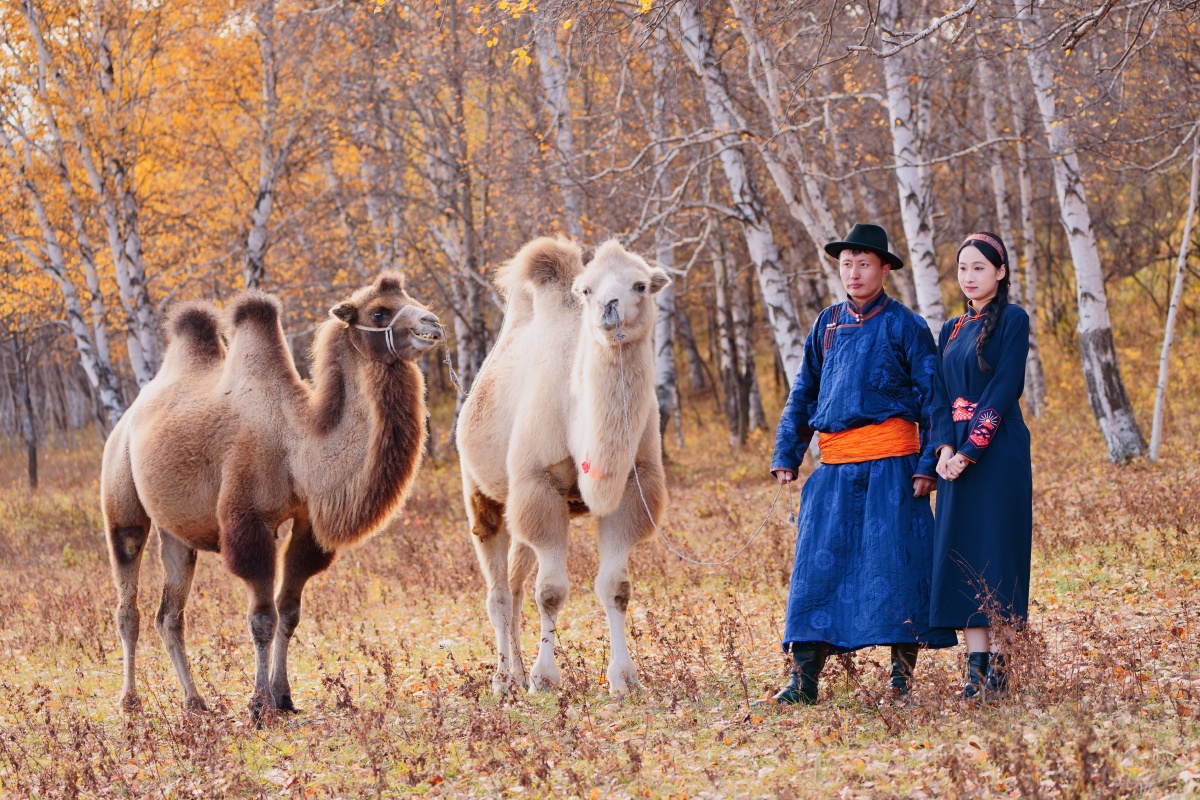 蒙古族情侣