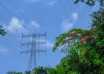 8B617372-E366-4E9B-B7F9-1A8D32BEFE51/L0/001