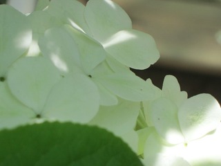 275CCF4A-4767-46DD-950F-D77D0221748F/L0/001