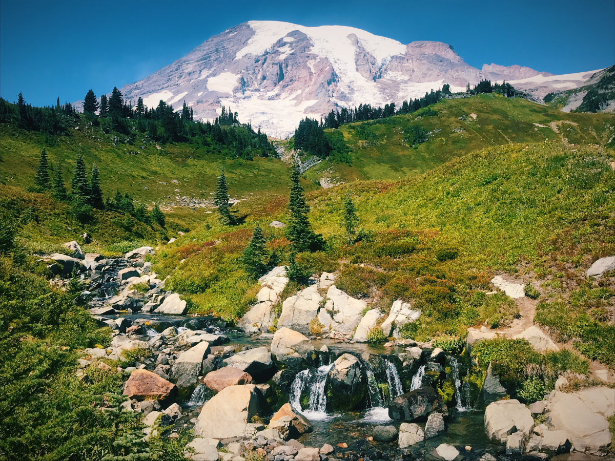 mountain rainier 西雅图 雷尼尔雪山 the scenery is ever green.