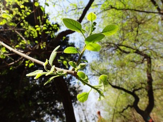 20120414 (3).JPG