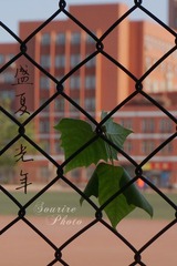 盛夏光年1.jpg