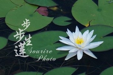DSC03992.jpg