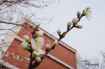 学校 (9)